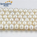 Decoration Freshwater Loose Pearl Strand 7mm AA- White Round Pearl String